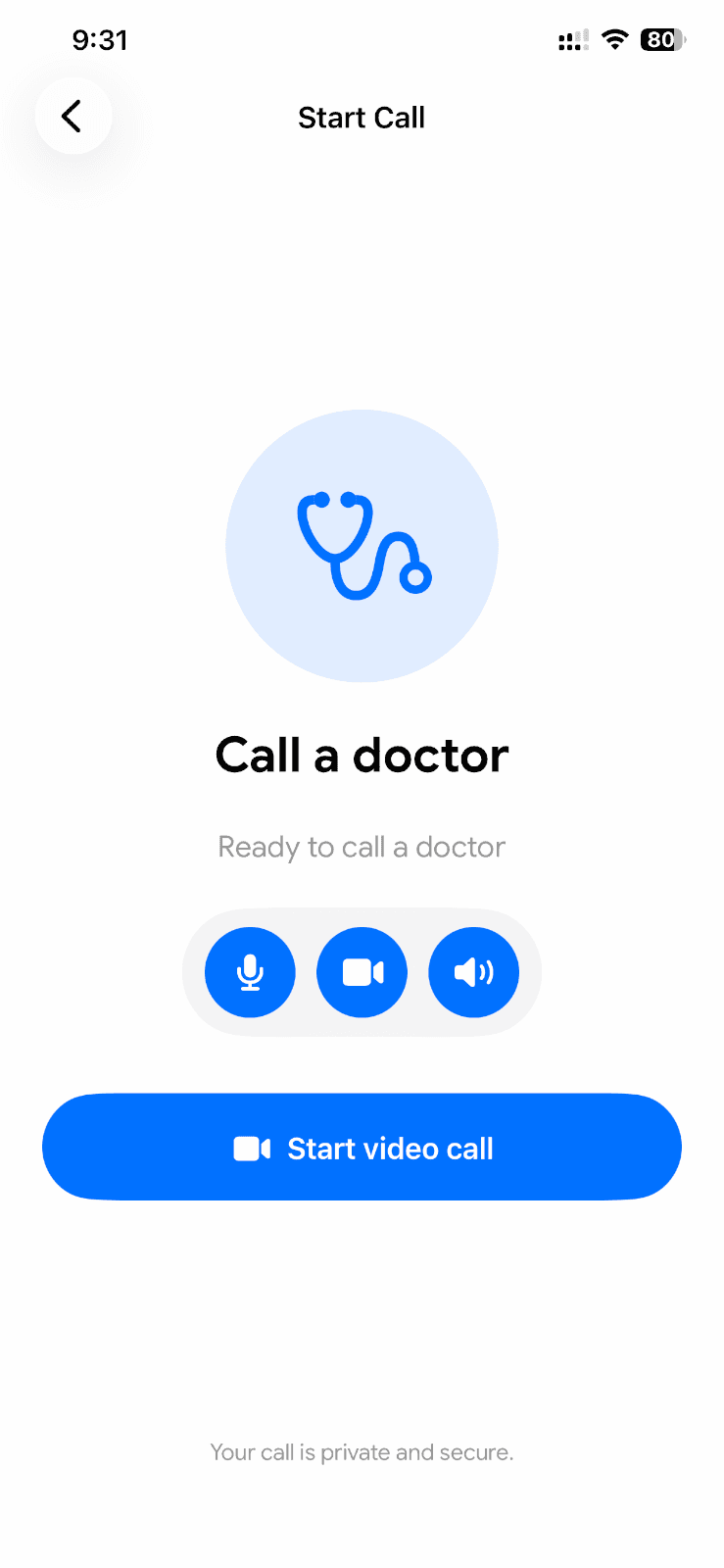 Current Doctor Buddy screen offering video and audio consultation controls